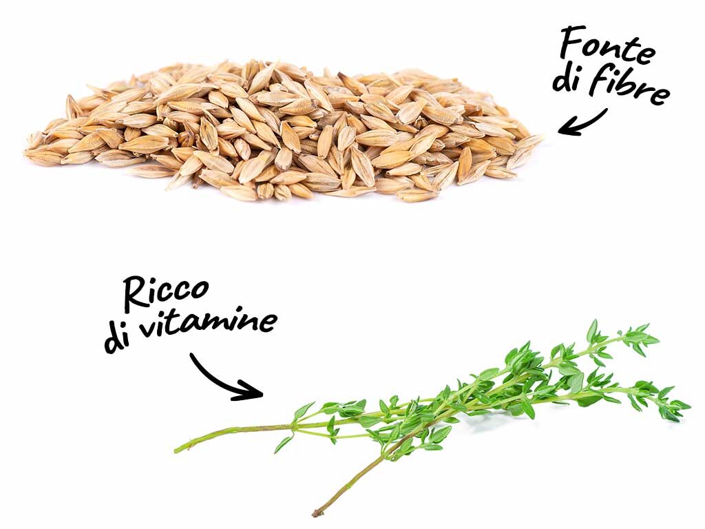 Ingredienti di Zuppa d'orzo, ceci, zucca e timo