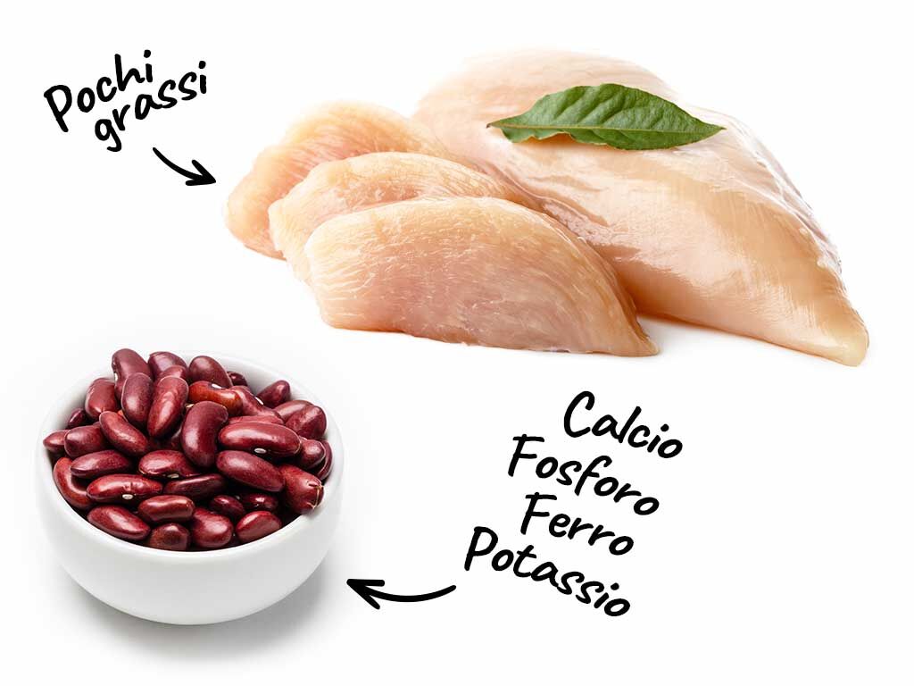 Ingredienti di Goulash di pollo dietetico con fagioli all'uccelletto