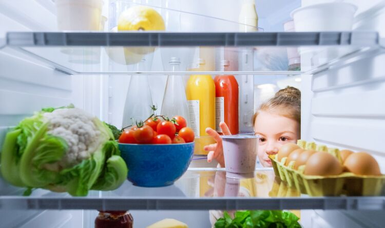Conservazione cibi in umido: come fare con il frigorifero