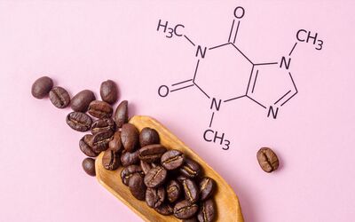 La caffeina: che effetto ha sull’organismo