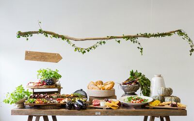 Obesità: la malattia cronica che l'Italia ha riconosciuto per prima. Cosa c'è davvero dietro i chili di troppo 