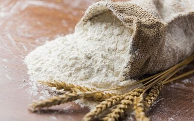 Mini-guida alle tipologie di farina di grano