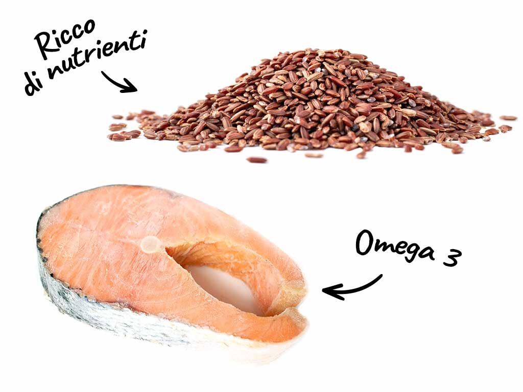 Ingredienti di Riso carnaroli integrale dietetico con verdure e salmone